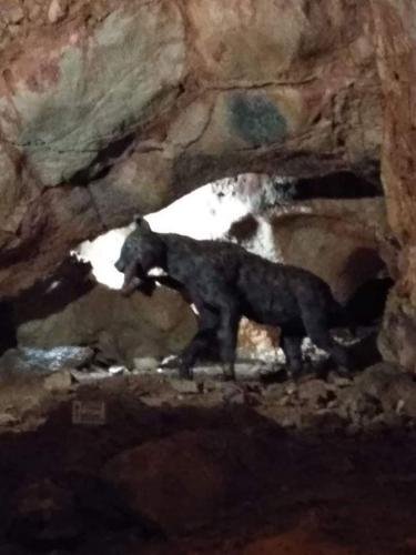 Σάββατο 16 Ν 2019 ΕΚΔΡΟΜΗ ΚΙΛΚΙΣ 1 (10)