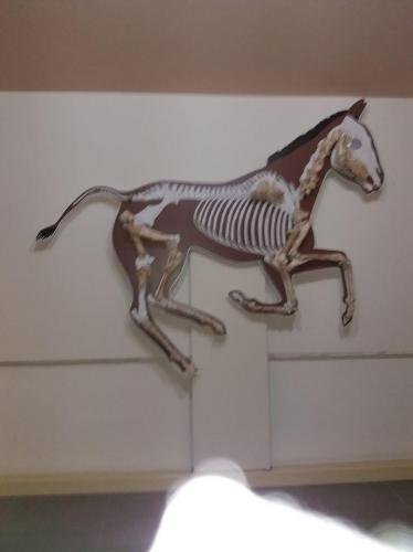 Σάββατο 16 Ν 2019 ΕΚΔΡΟΜΗ ΚΙΛΚΙΣ 1 (6)