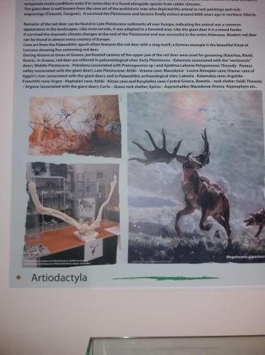 Σάββατο 16 Ν 2019 ΕΚΔΡΟΜΗ ΚΙΛΚΙΣ 1 (7)